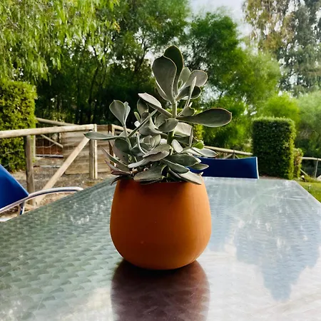 فيلة Preciosa Casa De Diseno Valle Del Golf Ideal Familias مْبيرا