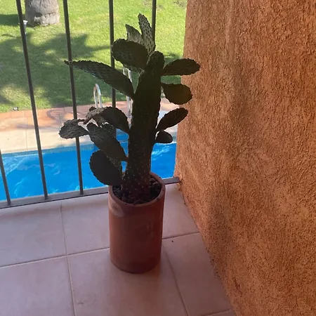 فيلة Preciosa Casa De Diseno Valle Del Golf Ideal Familias *